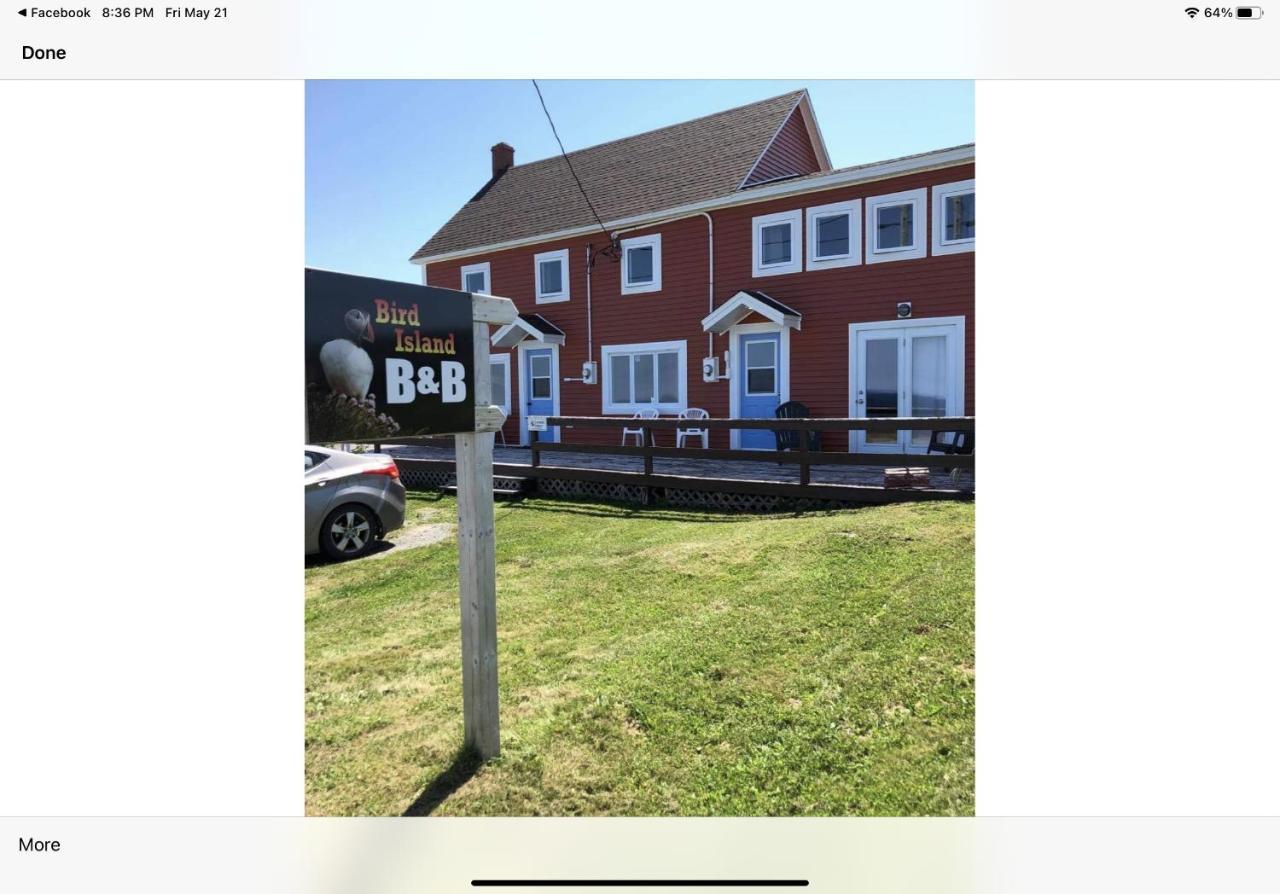 Bird Island B&B Bed And Bubble Elliston Esterno foto