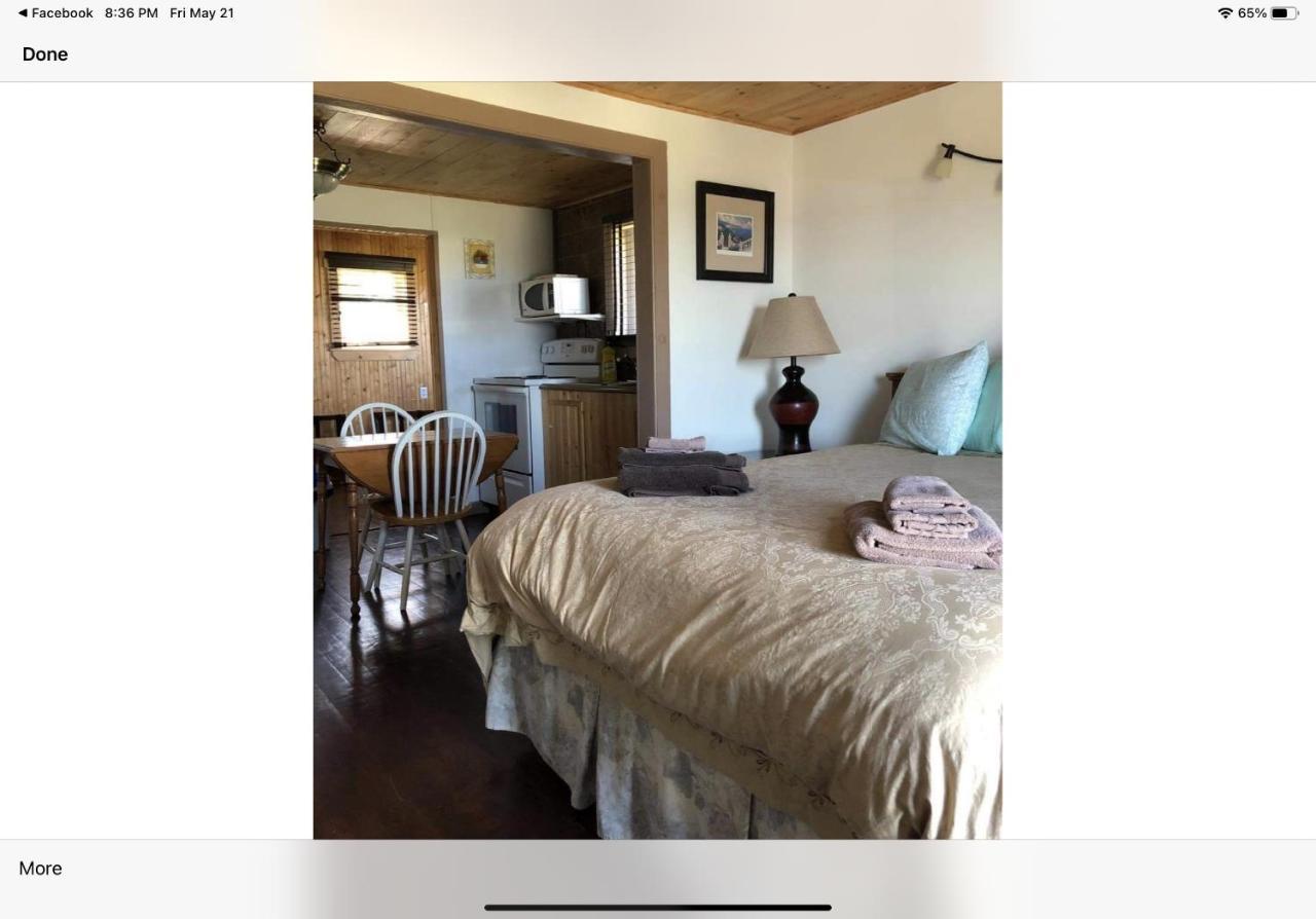 Bird Island B&B Bed And Bubble Elliston Esterno foto