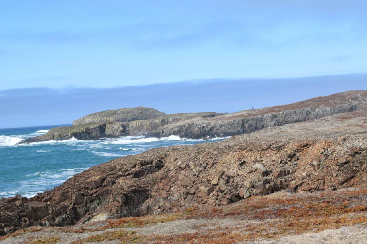 Bird Island B&B Bed And Bubble Elliston Esterno foto
